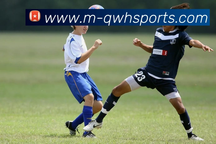 多媒体互动体验