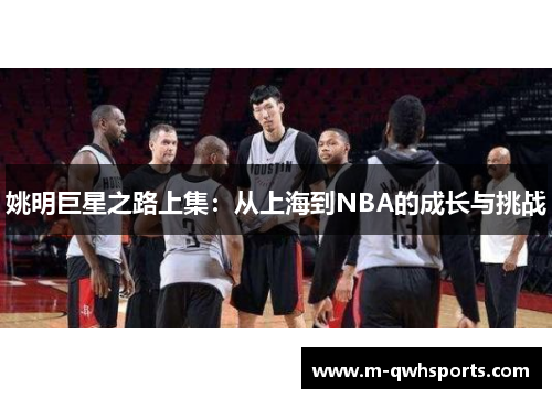 姚明巨星之路上集：从上海到NBA的成长与挑战