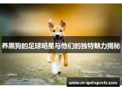 养黑狗的足球明星与他们的独特魅力揭秘